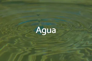 Como invertir en agua para principiantes